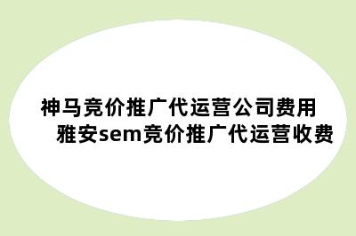 神马竞价推广代运营公司费用 雅安sem竞价推广代运营收费